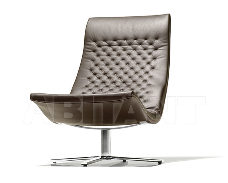 Купить Кресло для кабинета De Sede 2019 DS-0051/01