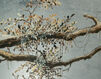Комод Falling Branch John Richard 2021 EUR-04-0395
