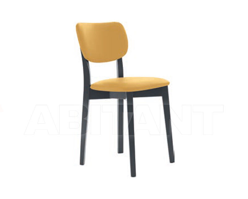 Купить Стул IRIS Eurosedia Design S.p.A. 2024 028