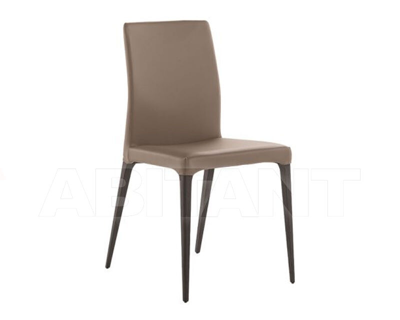 Купить Стул Betty Tomasella Industria Mobili s.a.s. 2025 4202103