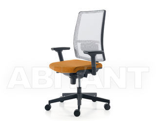 Кресло SUGARNET Quinti Chairs 667 B09N 4303.0