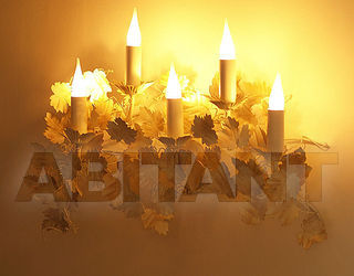 Бра Art et Floritude Vegetal A024.5