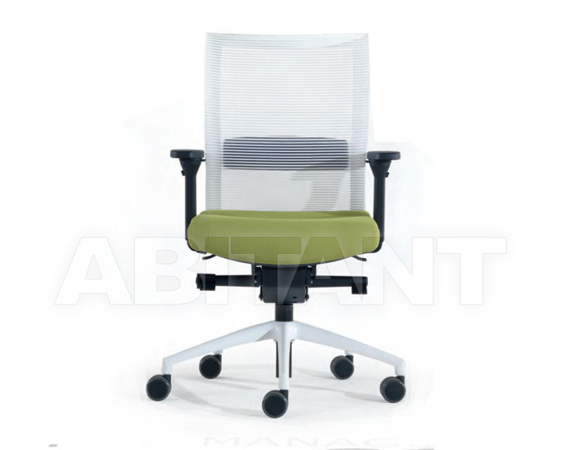 Купить Кресло Winner Vigano Office Office WLO2H  Cat. A+B+B+R4Y (Green)
