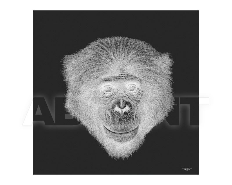 Купить Картина Mio International 2014 Digital Art Bonobo 2