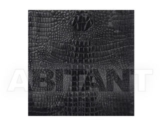 Плитка настенная Alphenberg Kaiman OFF BLACK