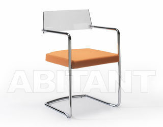 Стул с подлокотниками DREAM Rosi Sedie DR341