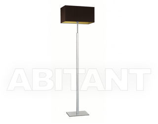 Торшер Heathfield Signature FL-DAKO-CHRO