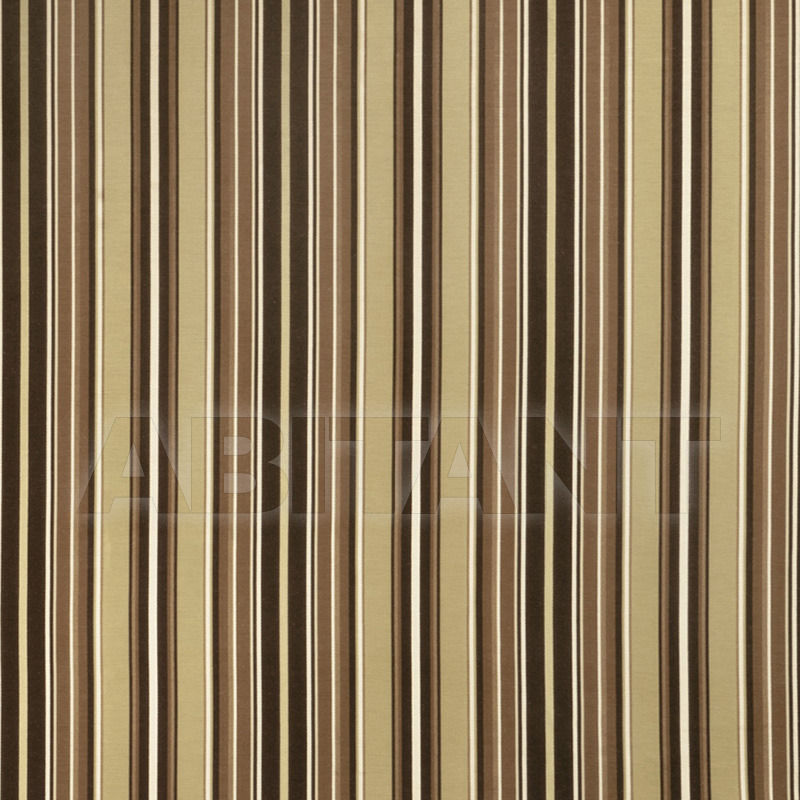 Купить Интерьерная ткань Bampton Phosphorus Ja Fabricut Chromatics Xix 0385808