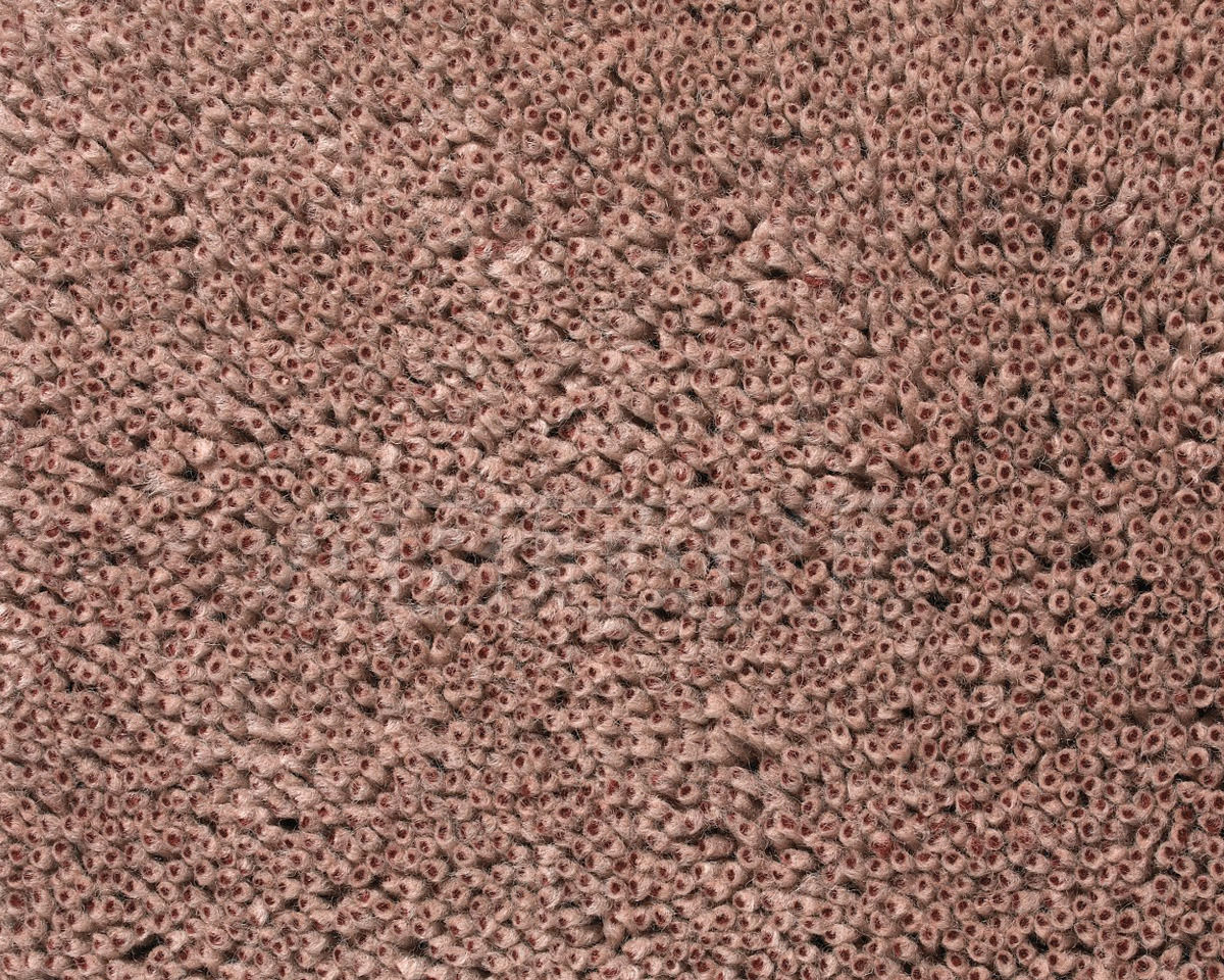 Купить Ковровая дорожка Grano Kvadrat DАNSKINA f-20006-c0241